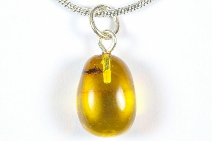 Polished Baltic Amber Pendant (Necklace) - Contains Fly! #369001